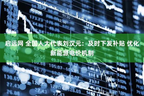 启远网 全国人大代表刘汉元：及时下发补贴 优化新能源电价机制
