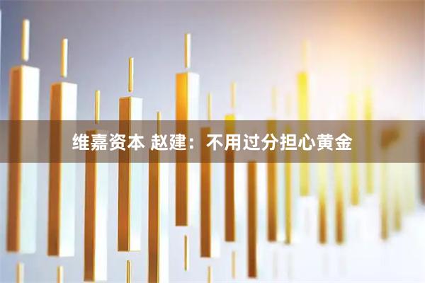 维嘉资本 赵建：不用过分担心黄金