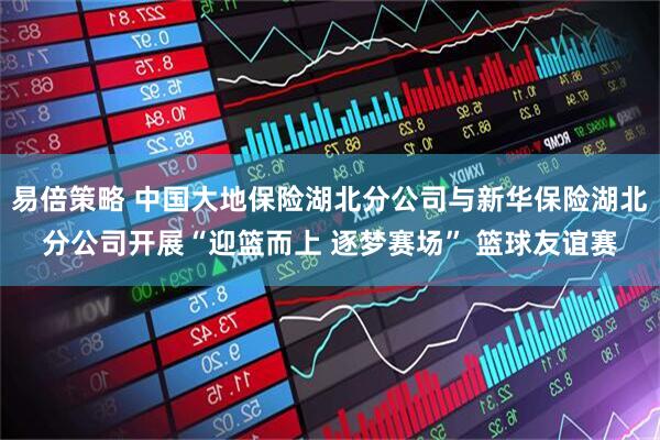 易倍策略 中国大地保险湖北分公司与新华保险湖北分公司开展“迎篮而上 逐梦赛场” 篮球友谊赛