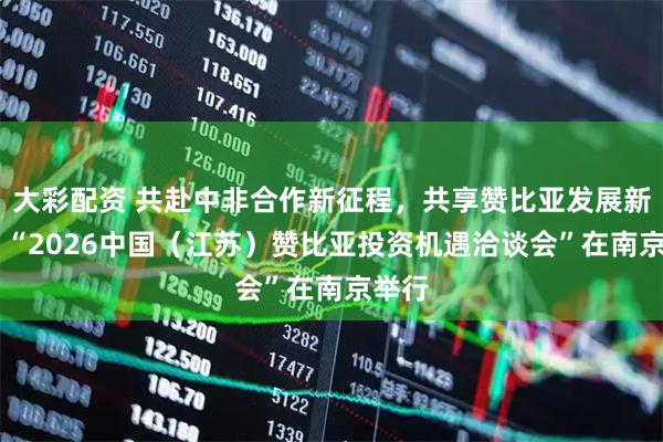 大彩配资 共赴中非合作新征程，共享赞比亚发展新机遇 “2026中国（江苏）赞比亚投资机遇洽谈会”在南京举行