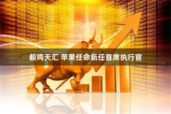 毅鸣天汇 苹果任命新任首席执行官