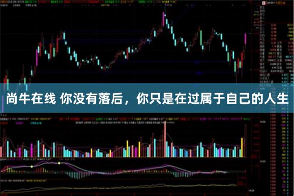 尚牛在线 你没有落后，你只是在过属于自己的人生