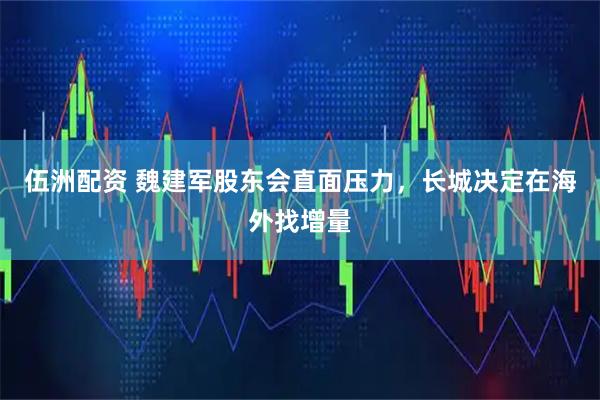 伍洲配资 魏建军股东会直面压力，长城决定在海外找增量